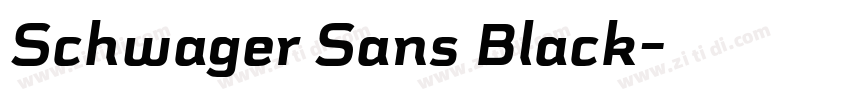 Schwager Sans Black字体转换